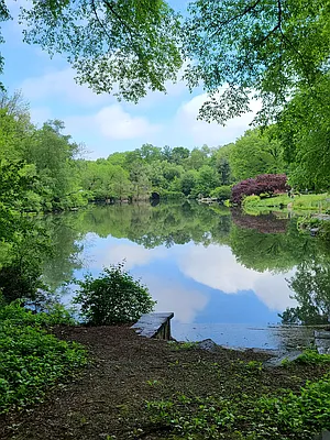 Rented by Bond New York | media 2