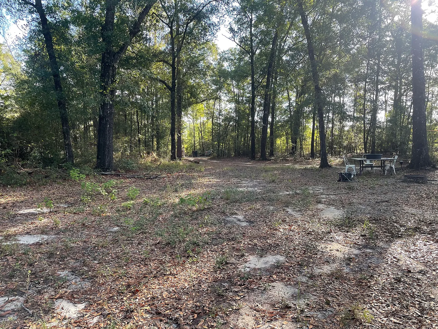3 bed, 1000 sqft, $1,250 — Photo 2