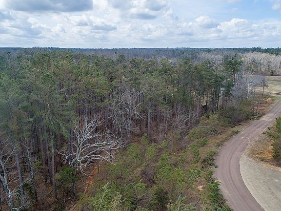 2nd image of Stable Run