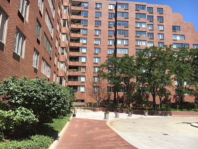 1st image of 801 S Plymouth Ct APT 206