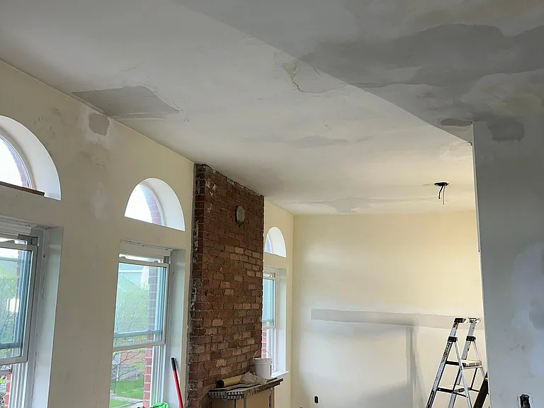 Recently rehabbed