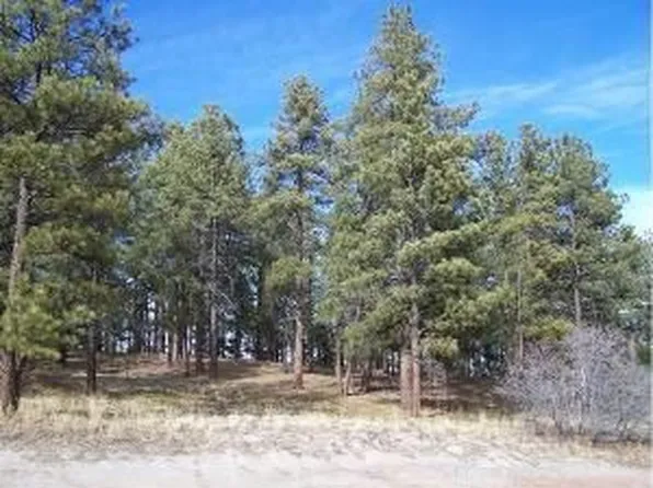 1315 Fremont Dr, Larkspur, CO 80118