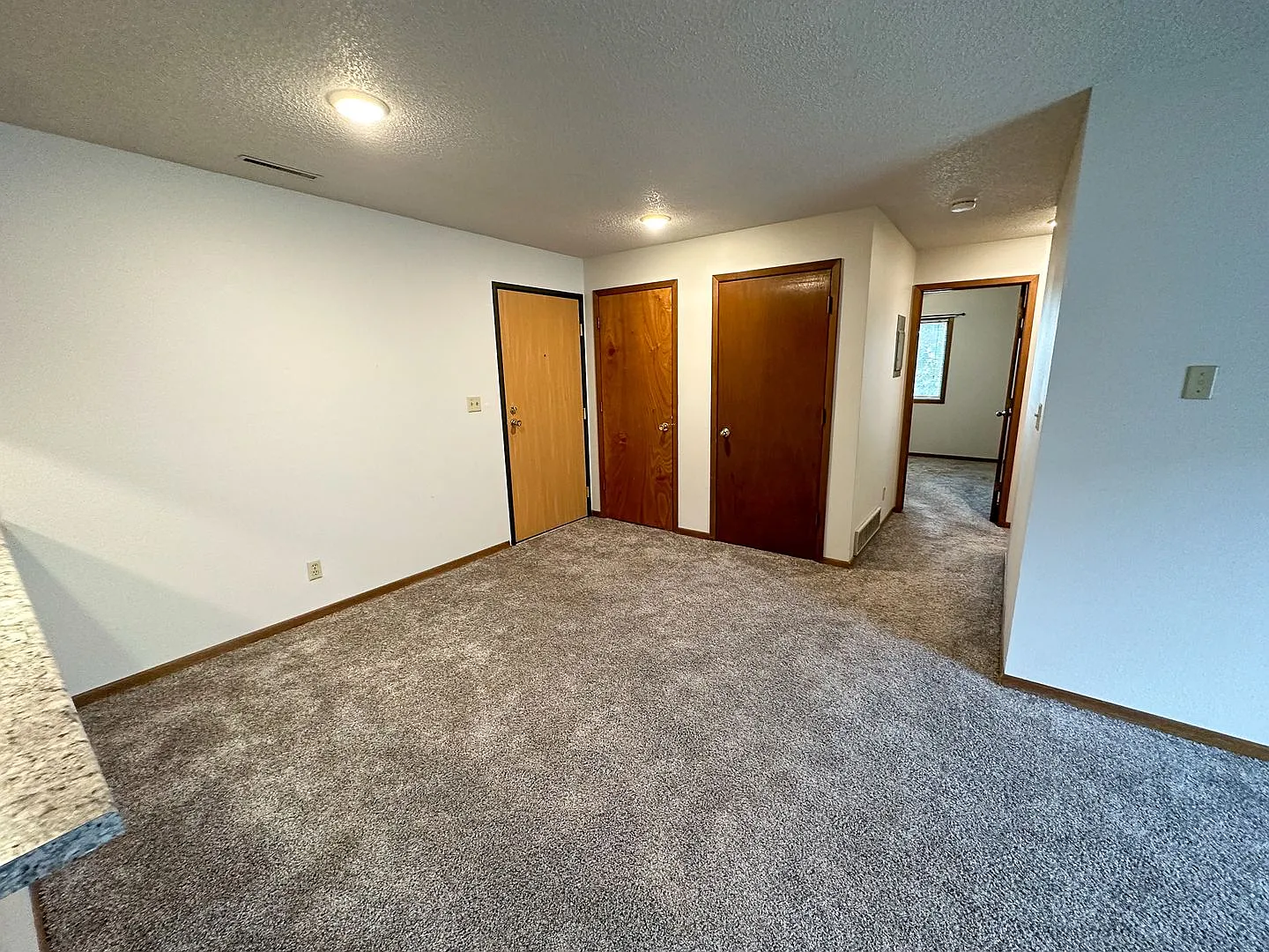 1217 Delaware — Photo 4