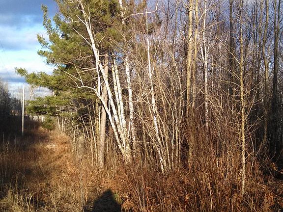 5th image of 37344 Tulaby Lake Dr