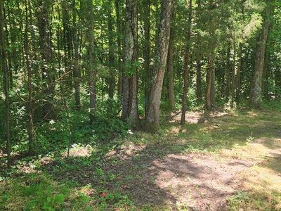 2870 Divider Natchez Trace Rd, Camden, TN, 38320