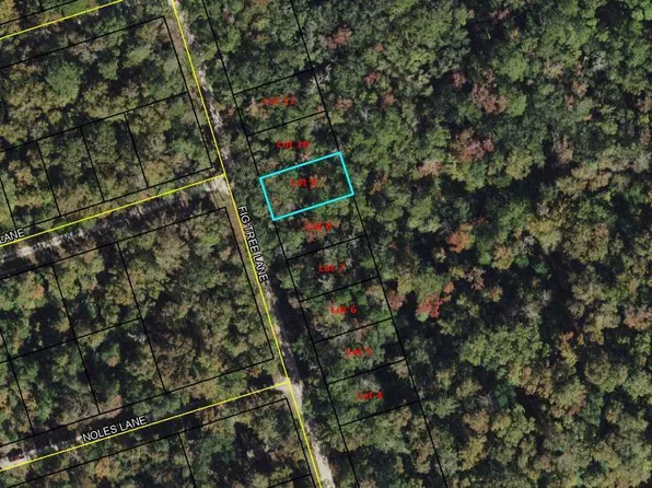 9 Fig Tree Ln, Crawfordville, FL 32327