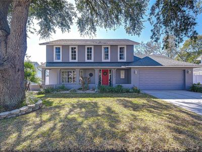 1617 Shady Leaf Dr, Valrico, FL, 33596