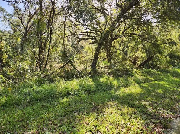 0 Table Rock Dr #4, Webster, FL 33597