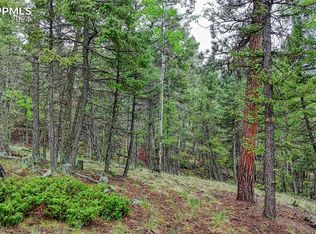 1061 Pinewood Rd, Florissant, CO 80816