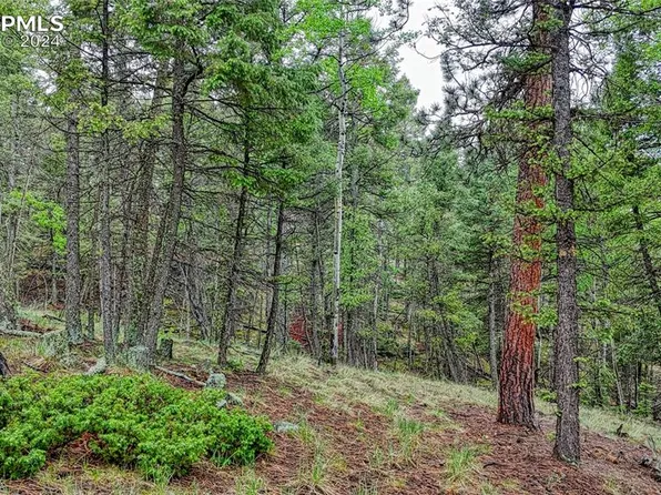 1061 Pinewood Rd, Florissant, CO 80816