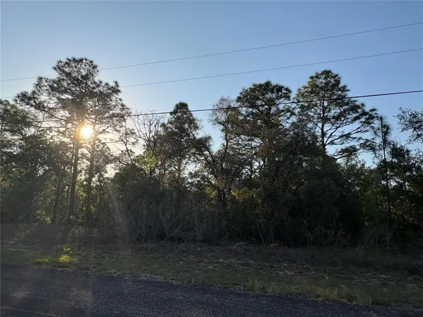 9172 N Marcus Way Lot 12, Dunnellon, FL 34433
