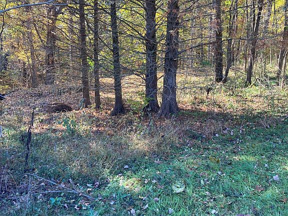 3rd image of 8992 Old State Road 37