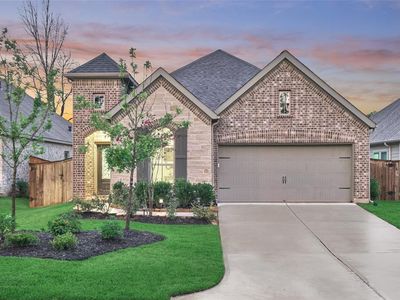 246 N Bearkat Ct, Montgomery, TX, 77316