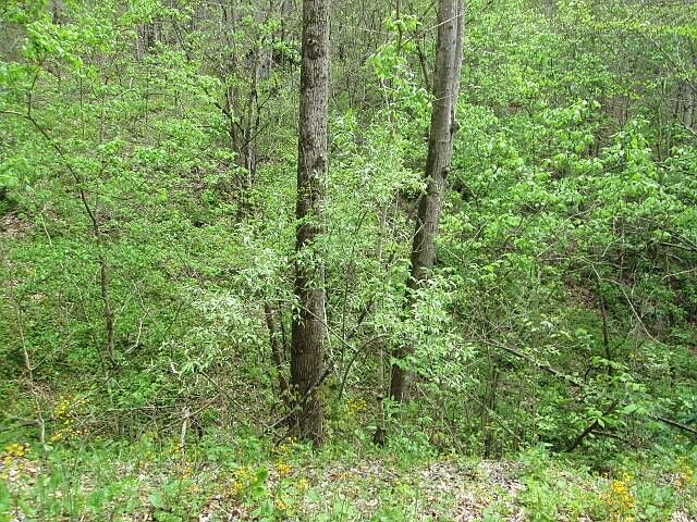 2nd image of 0 Southerland Branch Rd