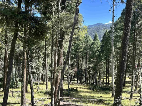 26 Calle De Los Indios, Angel Fire, NM 87710