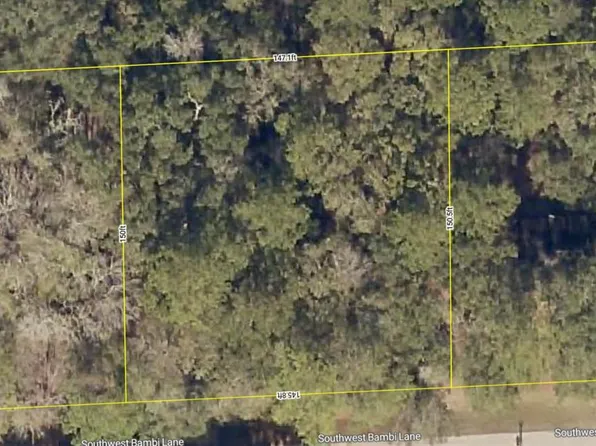 237 SW Bambi Ln Lot 6, Lake City, FL 32025