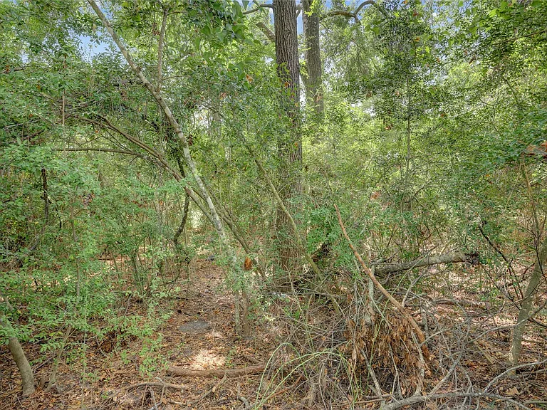 35 Tranquil Glade Pl — Photo 30