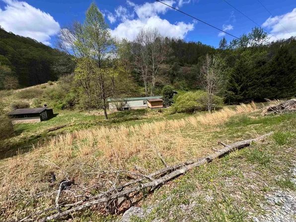 601 Shaw Hollow Rd, Wallace, WV 26448