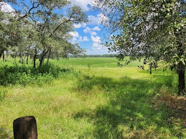 SW Viburnum Rd Lot 39, Dunnellon, FL 34431