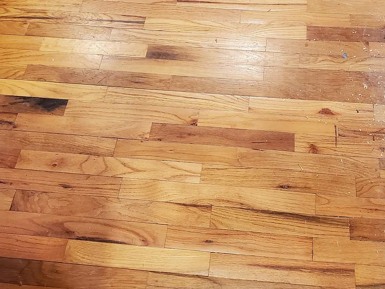 Living room has hardwood floors.