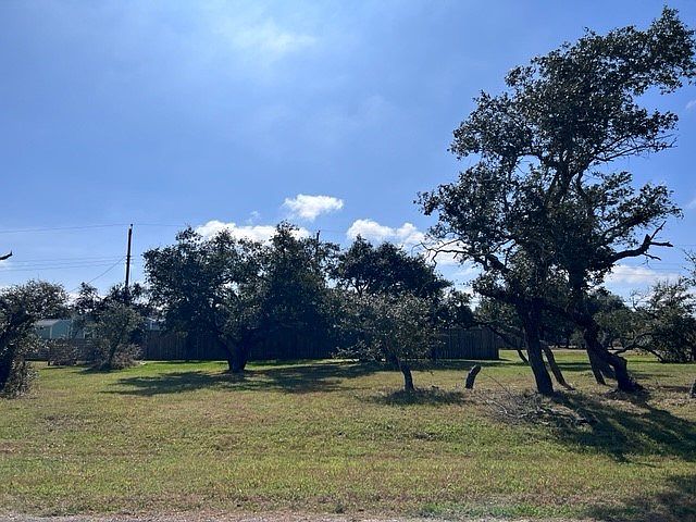 2nd image of 516 Forest Oak Ln