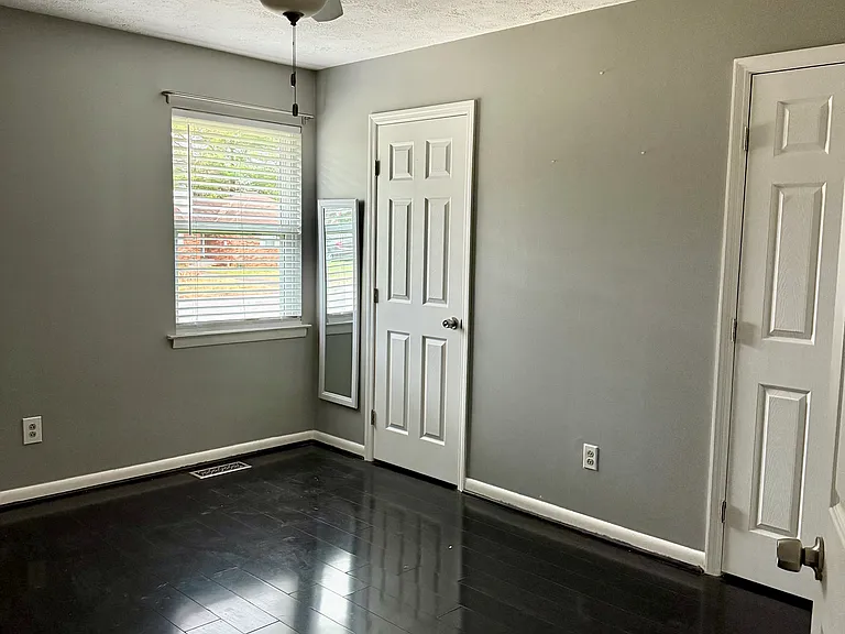 211 Lake Cv — Photo 5