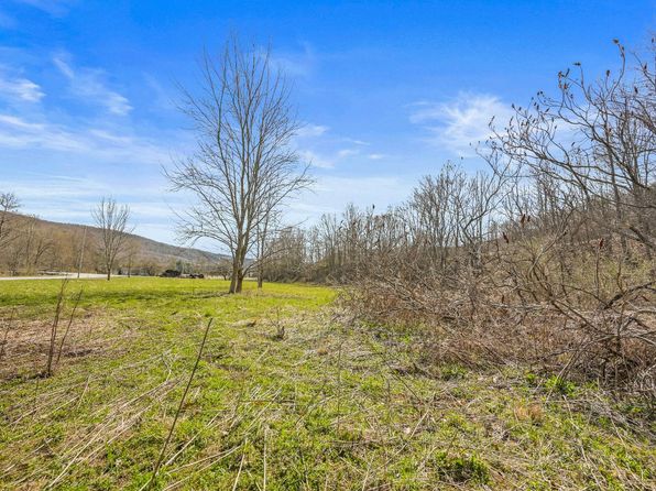 L9111 Lutheranville Rd, Summit, NY 12175