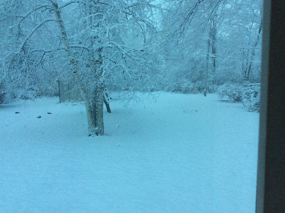 2nd image of 23545 Oliver Ct