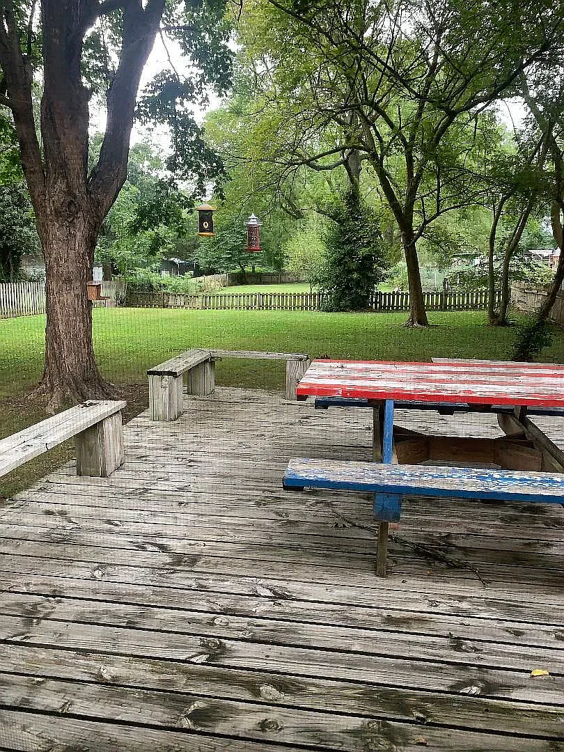 2 bed, 886 sqft, $1,300 — Photo 3