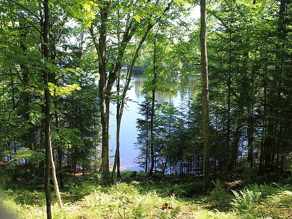 4th image of LOT W Fisher Lake Rd #W