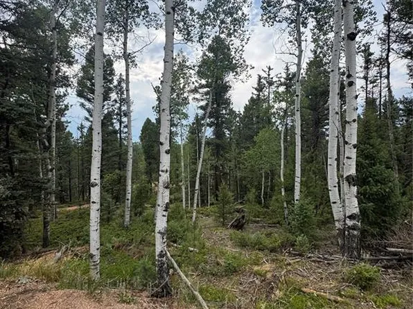 111 Elk Creek Dr, Divide, CO 80814