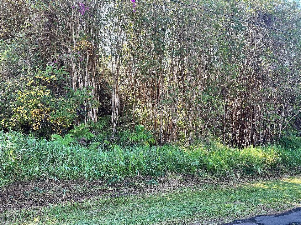 1st image of LOT 18-1985 206