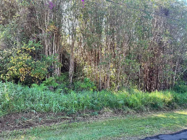 LOT 18-1985 206, Mountain View, HI 96771
