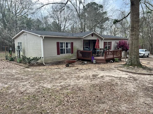 854 Power Station Rd, Buena Vista, GA 31803