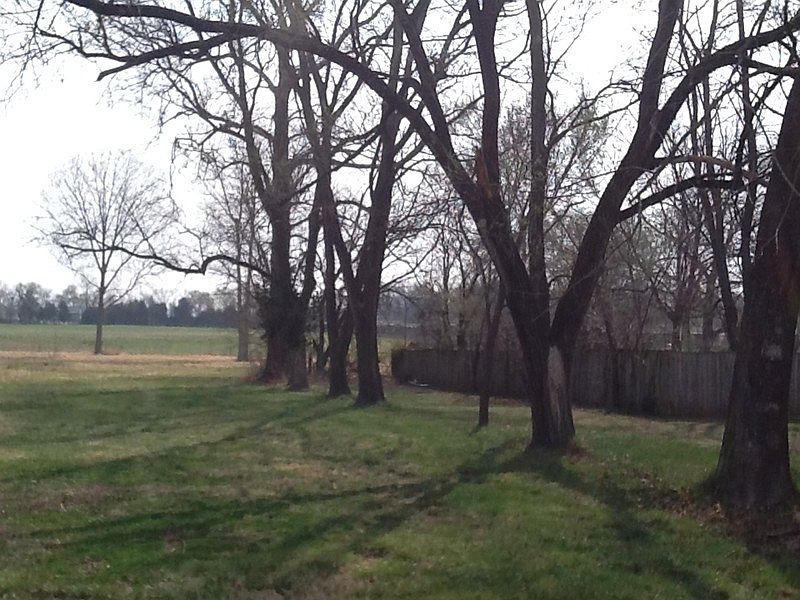2nd image of 174324 Washiongton