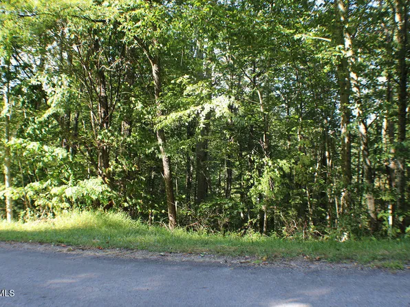 Deer Creek Xing, Mountain City, TN 37683