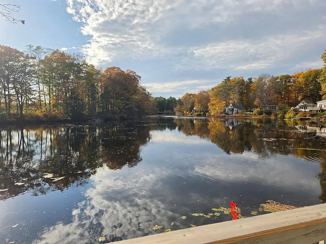 1 bed, 1.0 bath, 500 sqft, $1,800 — Photo 4