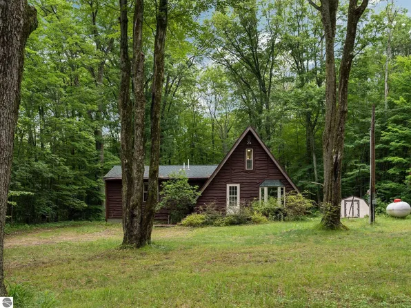 8756 E Barx Rd, Chase, MI 49623