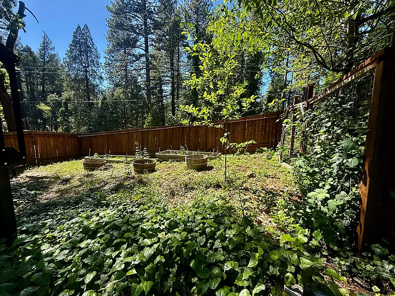 12101 Banner Lava Cap Rd — Photo 10
