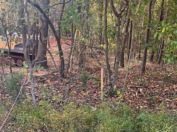 5th image of 0 Jarrett Ln
