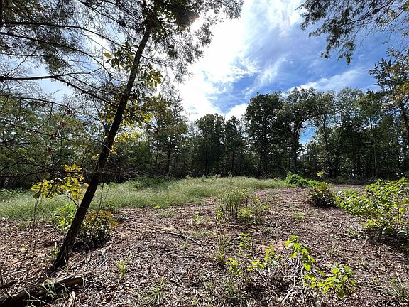 2nd image of 13610 County Road 420 Lot 6