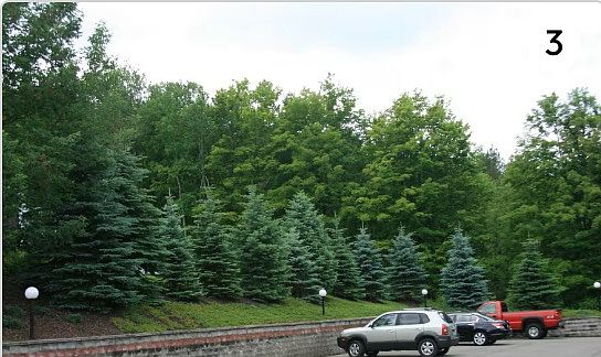 4th image of 1307 Dryden Rd #2