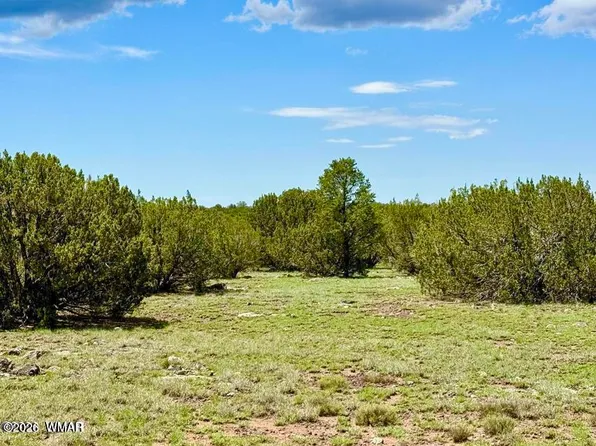 85 County Road 8128 Lots 100 101 #&-108, Concho, AZ 85924