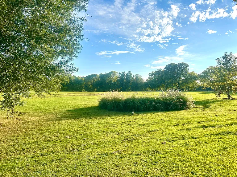 View from screen porch, opposite from front yard. Private acres of flat usable land.