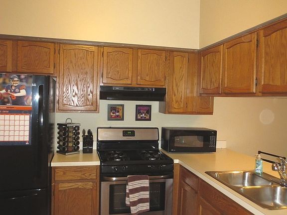 4th image of 1533 Darien Lake Dr