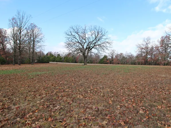 4254 V Highway, Myrtle, MO 65778