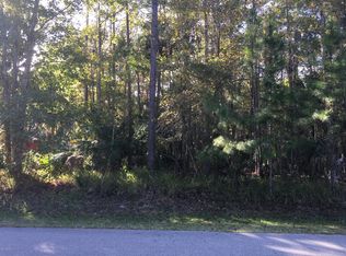 35 Pleasant Ln, Palm Coast, FL 32164