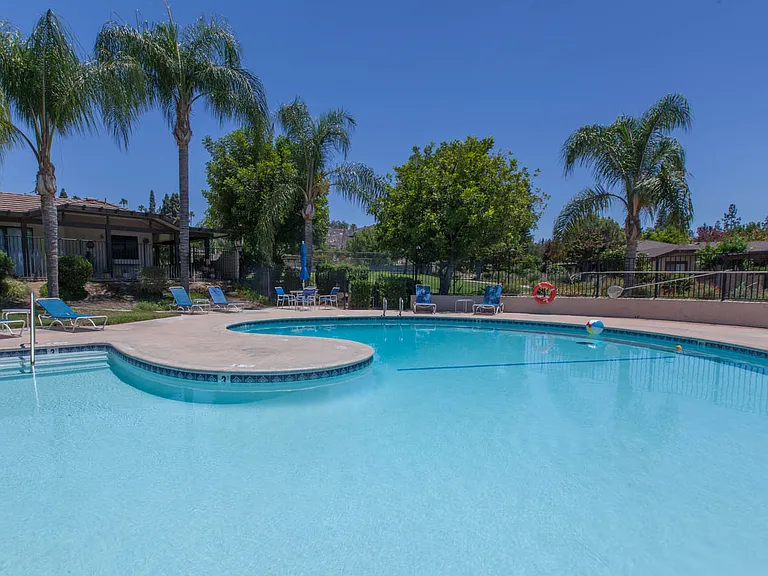 Pool & lounge chairs