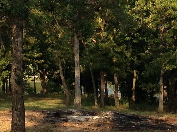 2nd image of 221 Kingsbury Dr