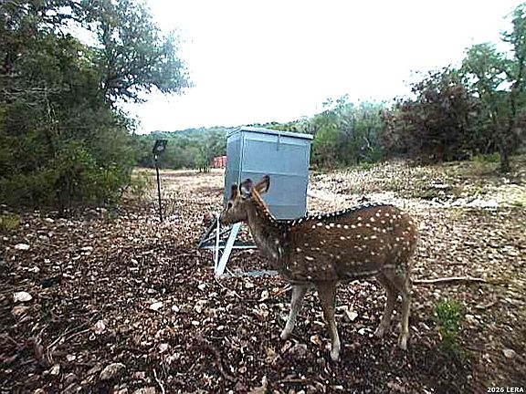3rd image of TBD SD 46071